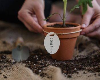 Indian Creek High School Plant Sale
