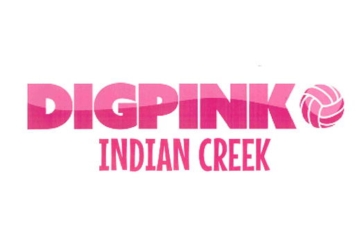 Image for 2022 Dig Pink Event