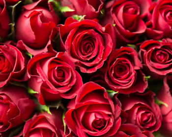 Valentine's Day Pre-Game Bash