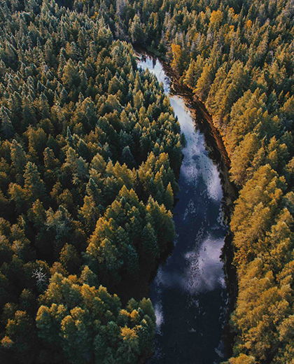 From Paycheck to Portfolio: Building Retirement Income That Lasts