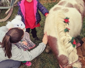 Jingle Ponies at Harley-Davidson