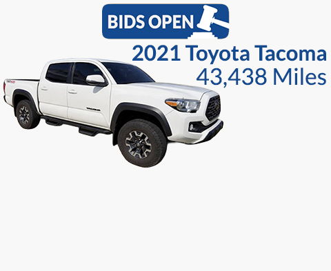 Image for Silent Bid Auction Going On Now