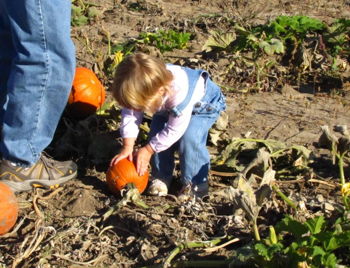 Fall Harvest Festival at Waterman's Family Farm Fall Harvest Festival at Waterman's Family Farm