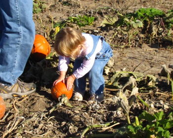 Fall Harvest Festival at Waterman's Family Farm