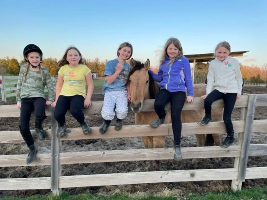 Havens Hope Ranch and Stables