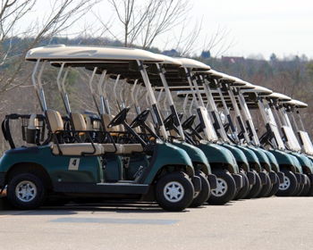 Golf Cart 500