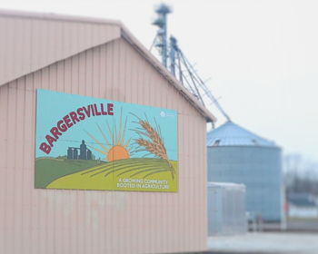 Movies Under the Stars in Bargersville