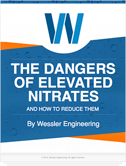 Dangers of Elevated Nitrates and How to Reduce Them Dangers of Elevated Nitrates and How to Reduce Them