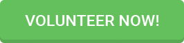 volunteer now volunteer now