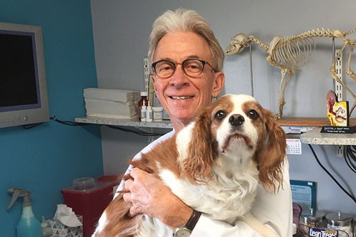 Academy Animal Hospital Greenwood In Veterinary Care