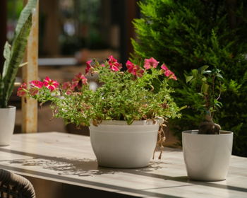 A Gardener's Dream Benefit