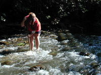 Aquatic Insect Assessments image Aquatic Insect Assessments image