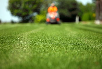 Superior Landscape Image for Superior Landscape