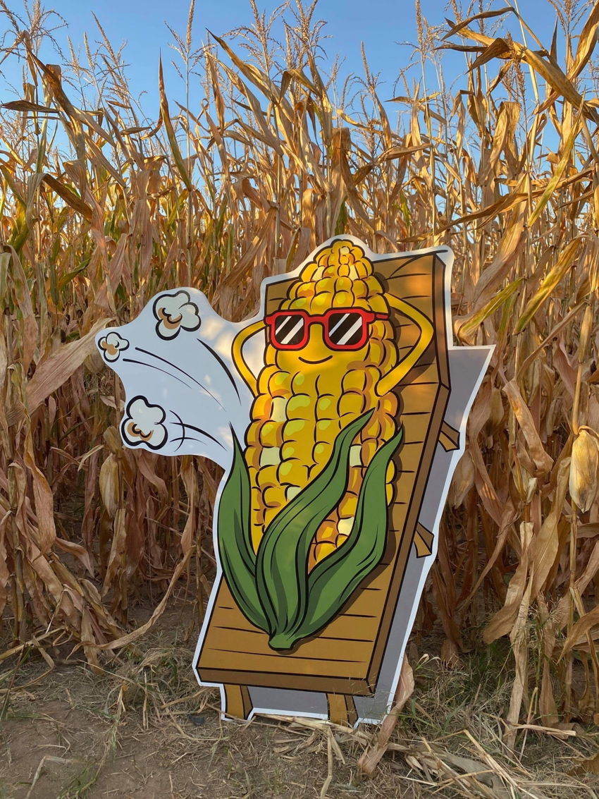 Jenkins Farm Market's Corn Maze & Pumpkin Patch