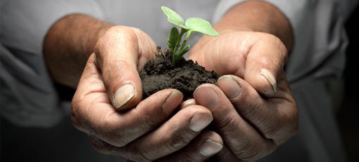 How to Grow Your Business Through Advocacy Marketing Image for How to Grow Your Business Through Advocacy Marketing