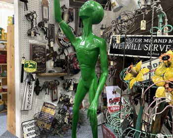 Most Interesting Items at Our Resale and Thrift Shops