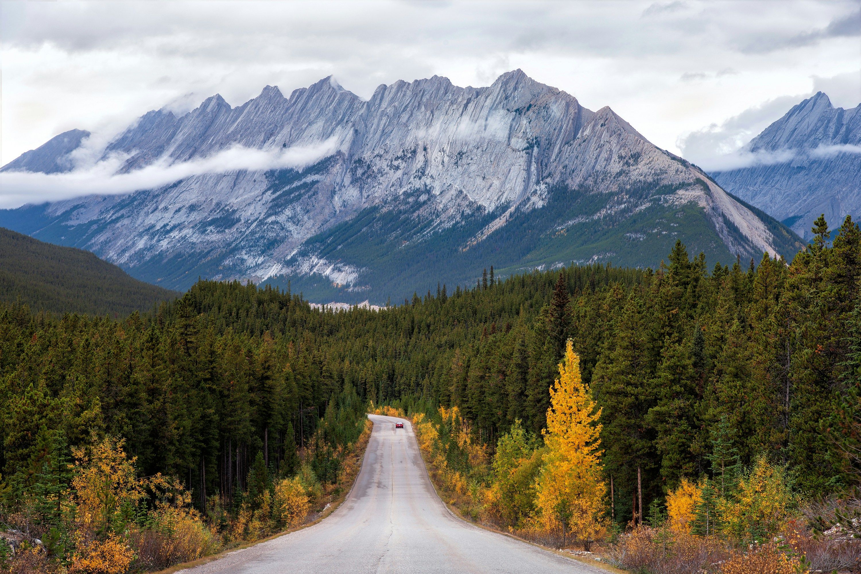 A road in Canada framed by pine trees and leading to a snow-capped mountain