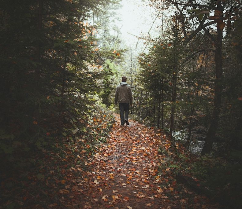 man walking through path in the woods