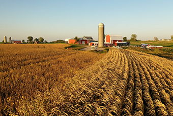 Image for Succession Planning for Family Farms