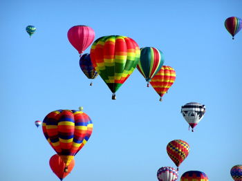 Berries & Balloons