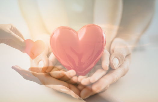 Image for Donor Advised Funds
