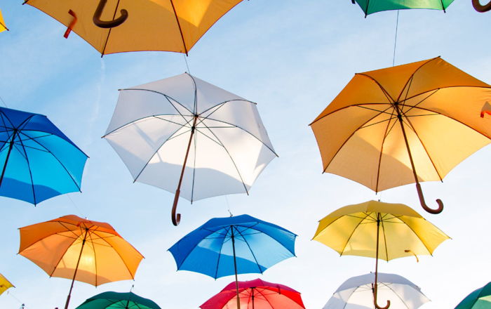 disability insurance from my employer
