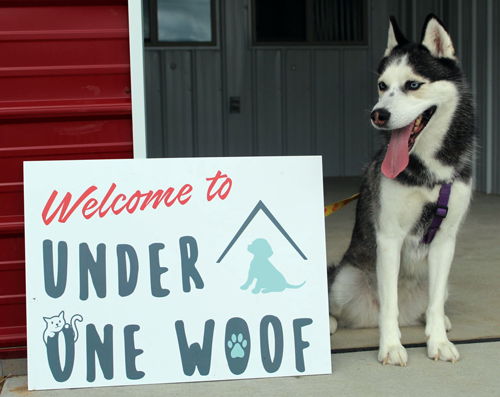 Image for Under One Woof