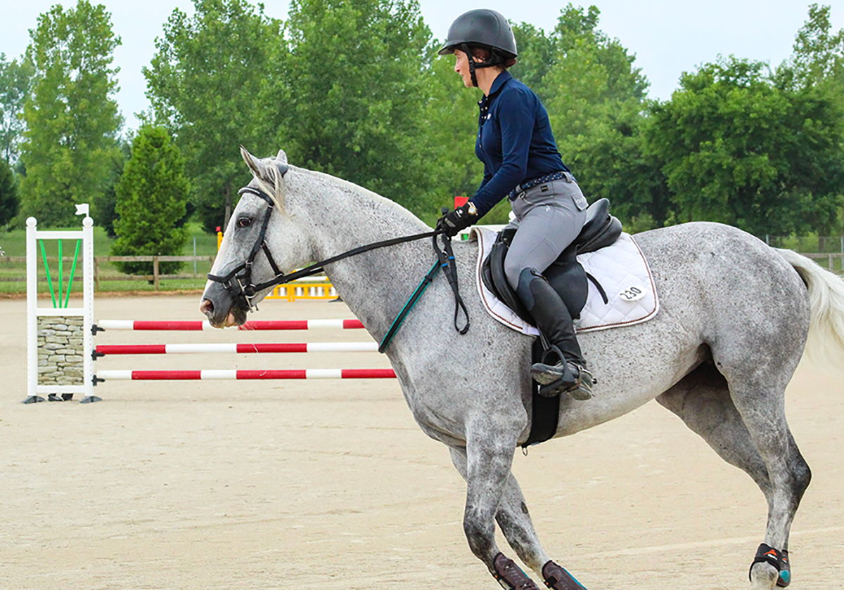 Indiana's Finest Equine Show Facility l Hoosier Horse Park