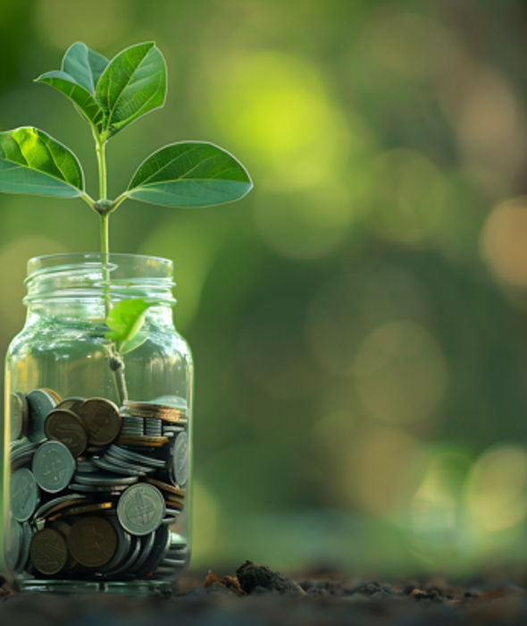 image for Simple Investing Is Smart Investing