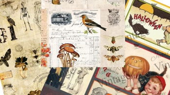 Making Fall Decor at Farm Girl Mercantile Making Fall Decor at Farm Girl Mercantile