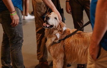 Paws & Think at Greenwood Carhartt
