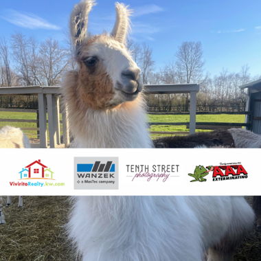 Image for Sponsors