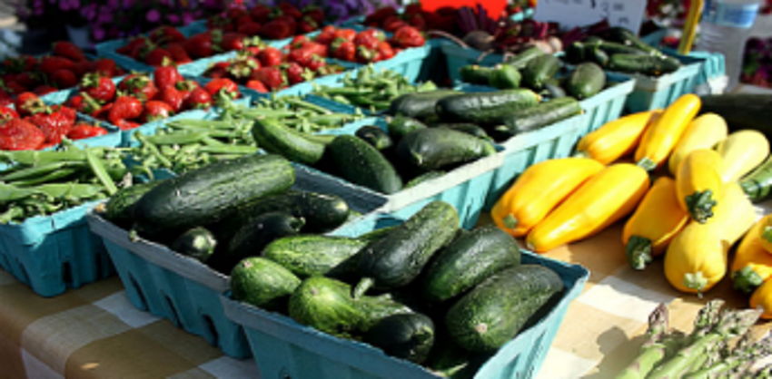 Edinburgh Farmers Market