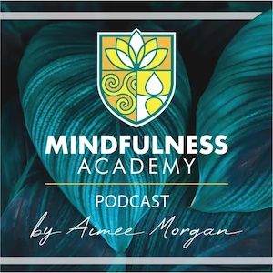 Mindfulness Academy Podcast Ep. 20 mindfulness academy logo