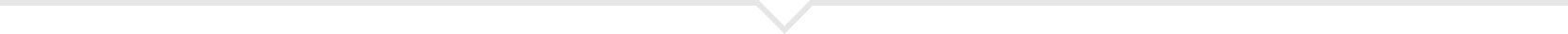 Its a horizontal rule with a small arrow pointing down in the center