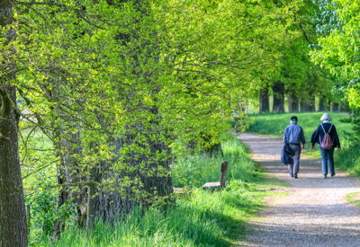 Image for The German Pension System for Americans in Germany (2025)