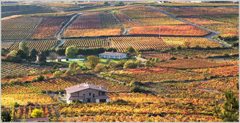 Wine Tasting and learn about Spain and Portugal trip