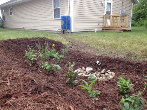 Habitat Rain Garden image Habitat Rain Garden image