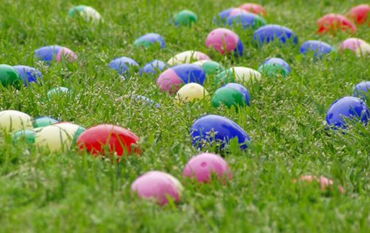 Image for Easter Egg Hunt