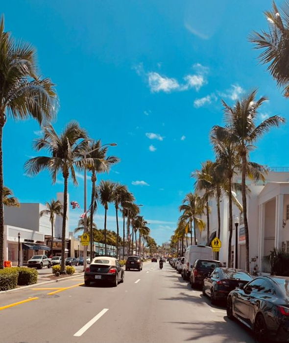 image for Financial Planning in Florida: Taxes, Homestead Benefits and Insurance Considerations