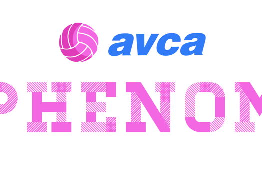 Image for 12 Athletes Earn AVCA Phenom Recognition!