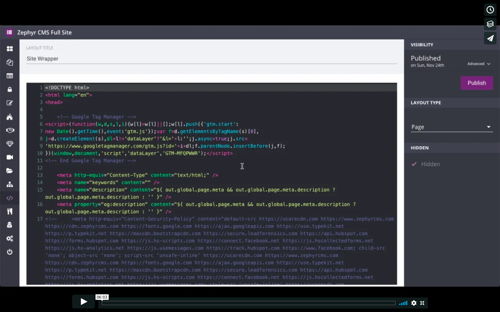 Image of a screenshot of Zephyr for a training video about Installing Google Tag Manager