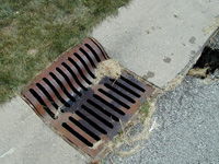 BWQ Stormwater Threats image BWQ Stormwater Threats image