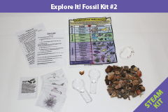 Explore It Fossil Kit