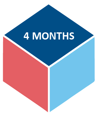 4 months cube icon