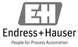 Logo for Endress + Hauser