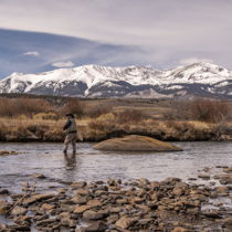 Image for Investment Management