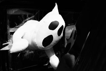 BoJak’s Halloween Party BoJak’s Halloween Party