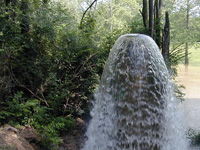 BWQ Stormwater Threats image BWQ Stormwater Threats image