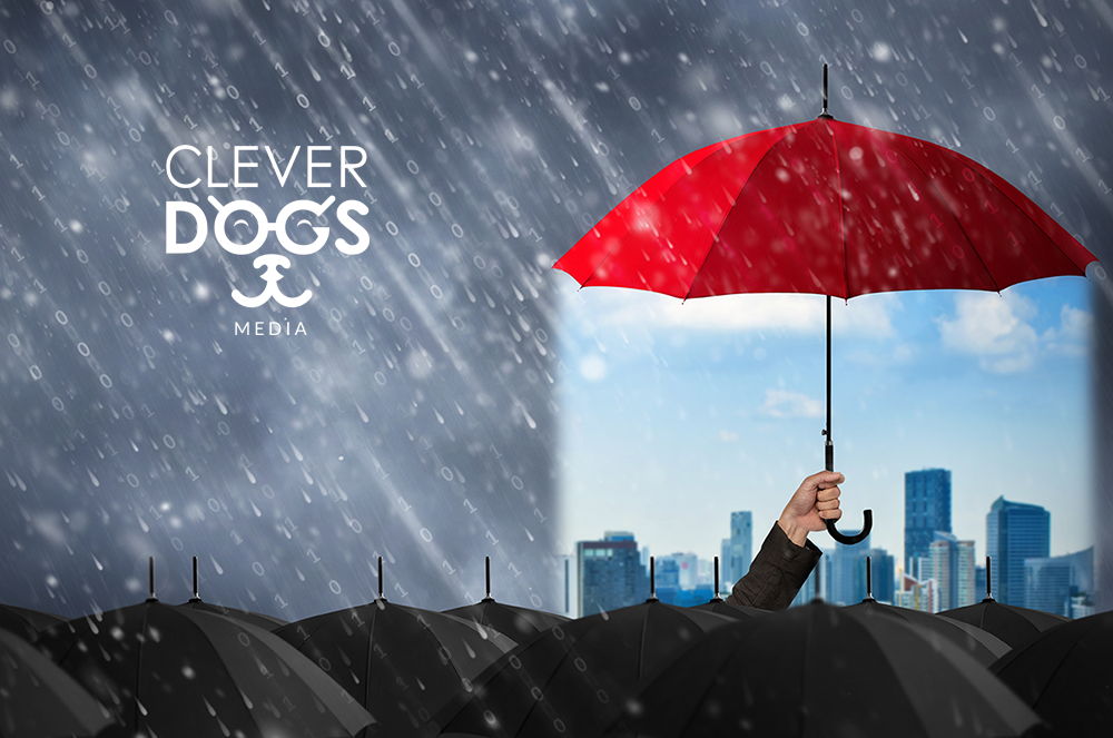 Clever Dogs Media Indianapolis